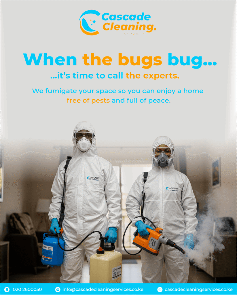 Graphic Designer in Nairobi