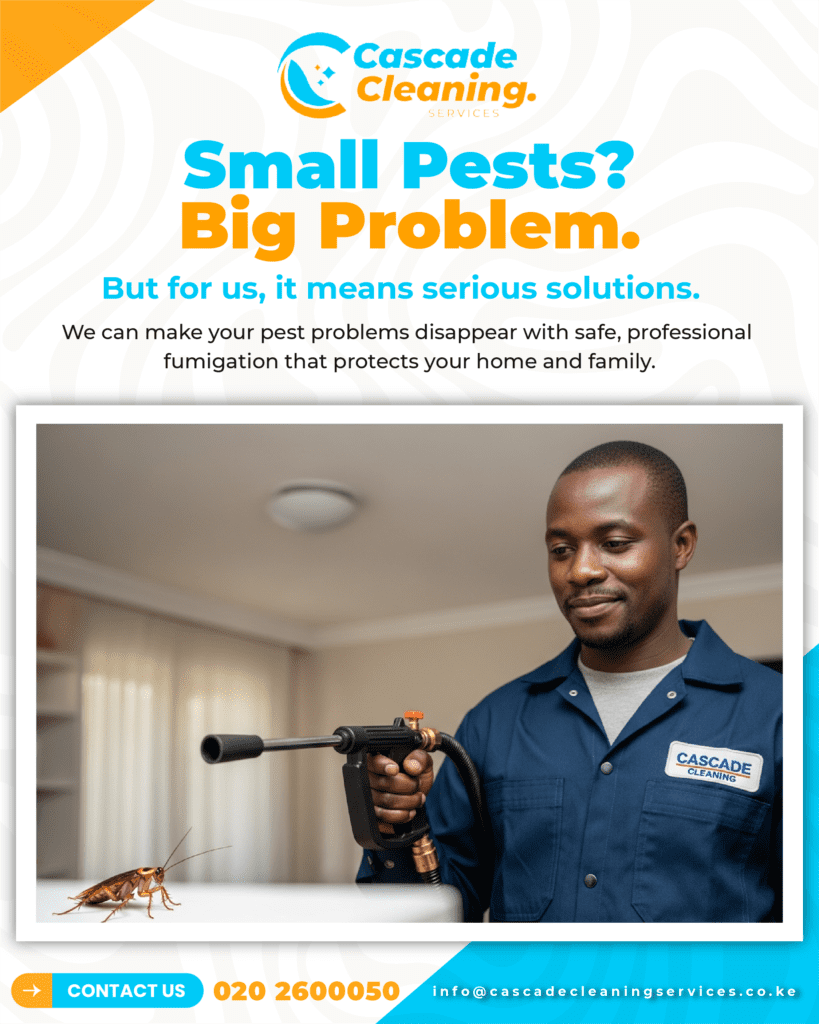 Graphic Designer in Nairobi