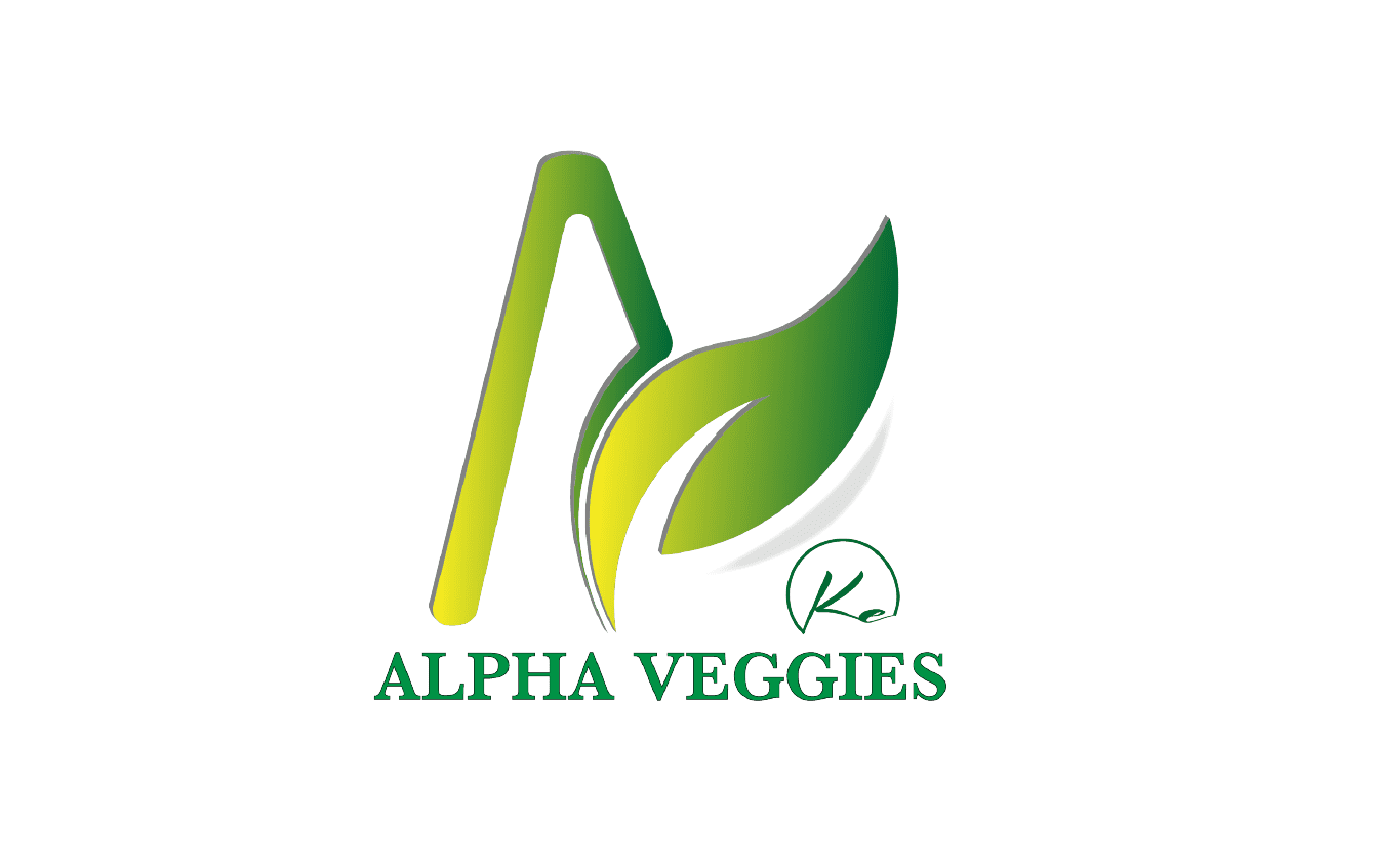 Digital Marketing Agency in Nairobi